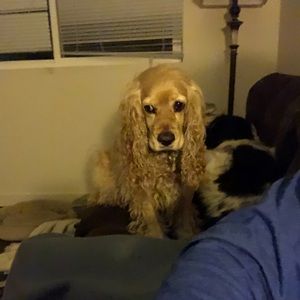 Meet your Posher, Holly